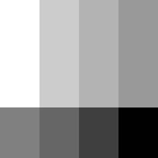 Shades Of Grey