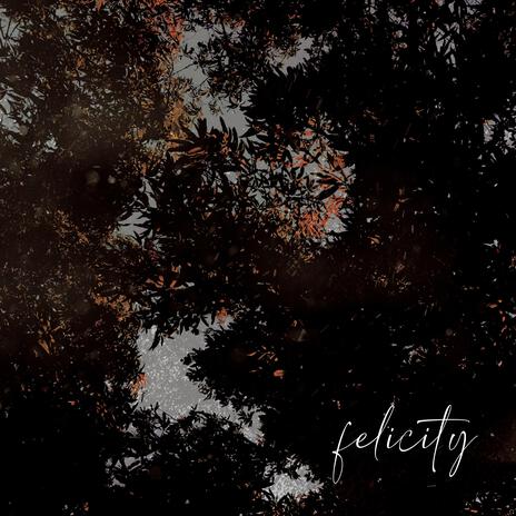 Felicity | Boomplay Music