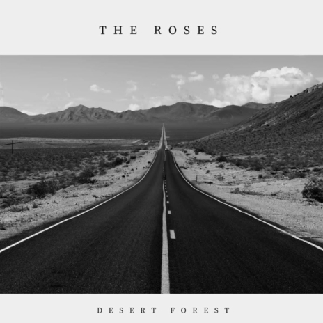 Desert Forest | Boomplay Music