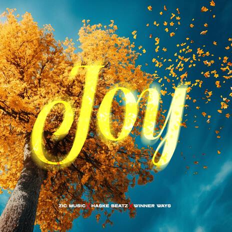 Joy ft. Haskebeatz & WINNERWAYS. | Boomplay Music