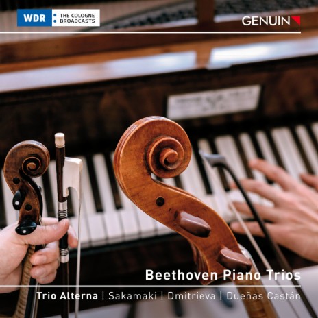 Piano Trio in E-Flat Major, Op. 70 No. 2: IV. Finale. Allegro | Boomplay Music