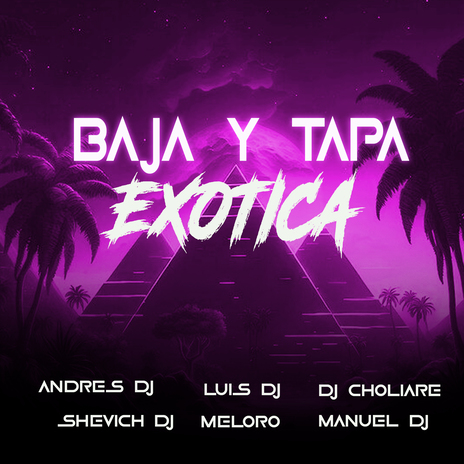 Baja Y Tapa Exotica ft. Manuel Dj, Dj Choliare, Luis Dj, shevich Dj & Meloro | Boomplay Music