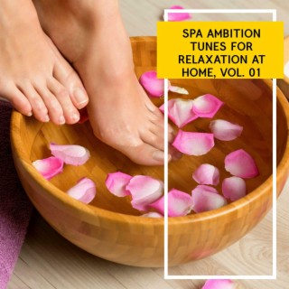 Spa Ambition Tunes for Relaxation at Home, Vol. 01