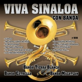 Viva Sinaloa Con Banda