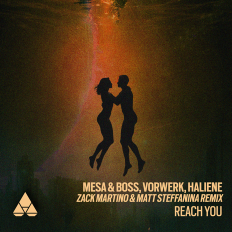 Reach You (Zack Martino & Matt Steffanina Remix) ft. Vorwerk & HALIENE | Boomplay Music