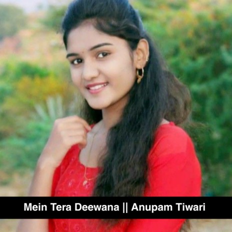 Mein Tera Deewana | Boomplay Music