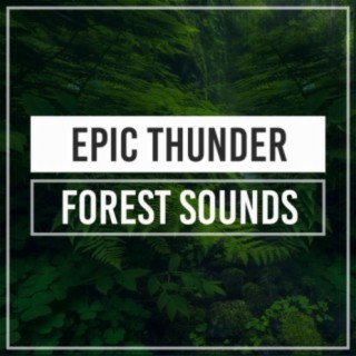 Epic Thunder Forest Sounds