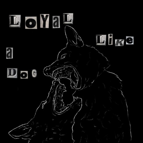 loyal like a dog | Boomplay Music