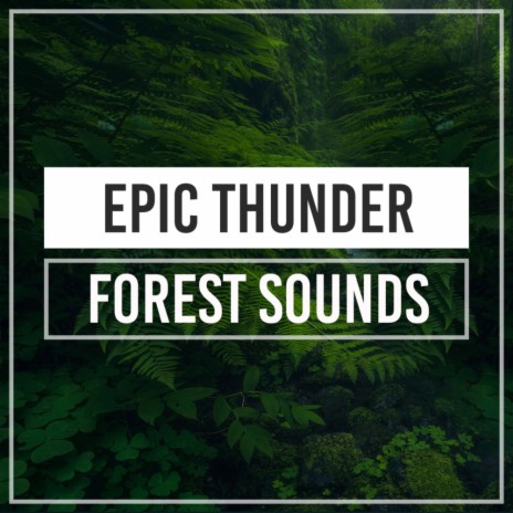 Epic Thunder (Original Mix)