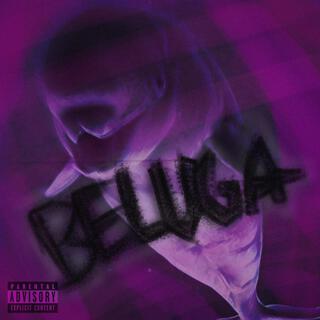 BELUGA