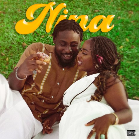 Nina | Boomplay Music