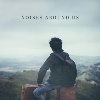 Noises Around Us