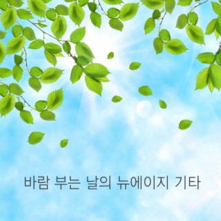 바람 부는 날의 뉴에이지 기타