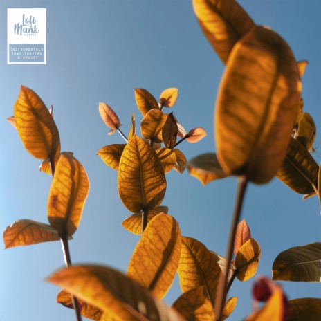 Loose Leaves ft. Lowig | Boomplay Music