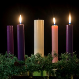 Advent Calendar | Day 21 (Lincoln HS Cardinal Choir & Lisa Riffel)