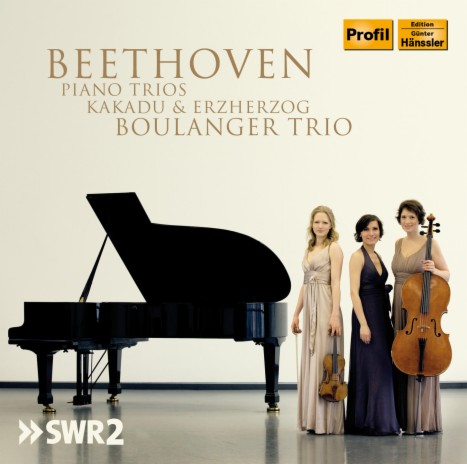 Allegretto for Piano Trio, WoO 39 | Boomplay Music