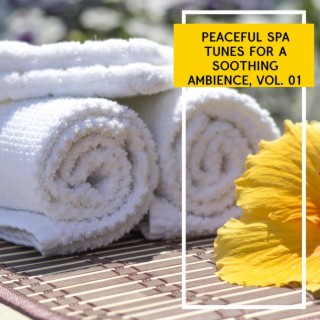 Peaceful Spa Tunes for a Soothing Ambience, Vol. 01