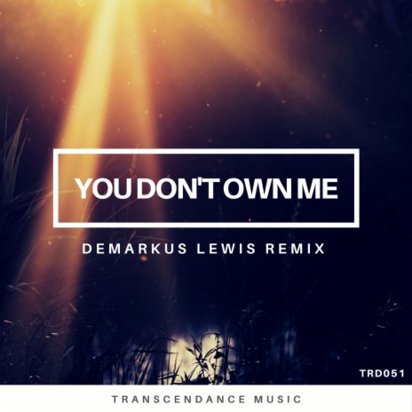 You Don't Own Me (Demarkus Lewis Radio Edit) ft. Laureen (IT)