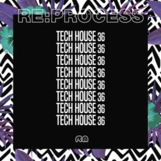 Re:Process - Tech House Vol. 36