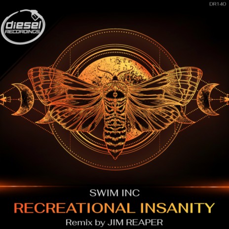 Recreational Insanity (Original Mix)