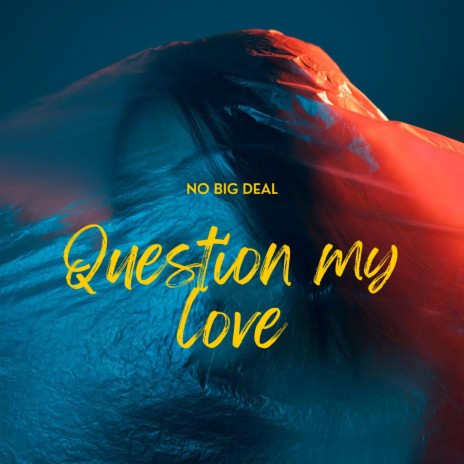 Question My Love