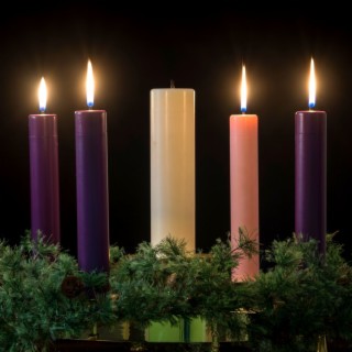 Advent Calendar | Day 22 (Jennifer Creswell) | The Fourth Sunday of Advent