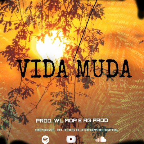 ANDRE GOMES - VIDA MUDA ft. DJ WL MDP | Boomplay Music