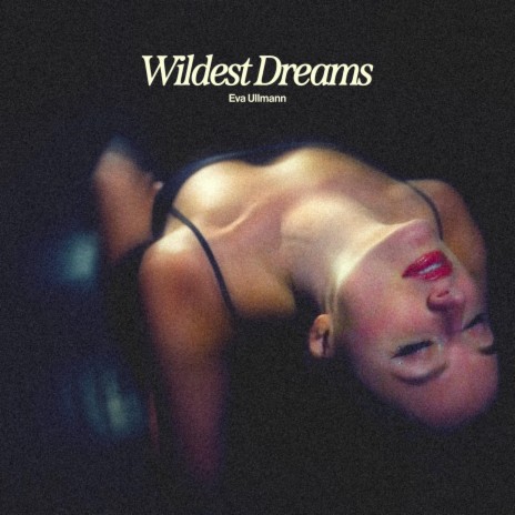 Wildest Dreams | Boomplay Music