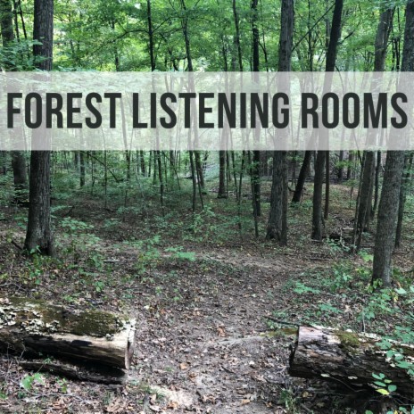 Forest Listening Rooms