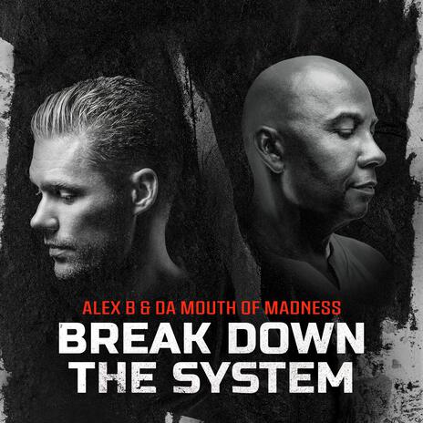 Break Down The System ft. Da Mouth of Madness