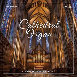 Cathedral Organ