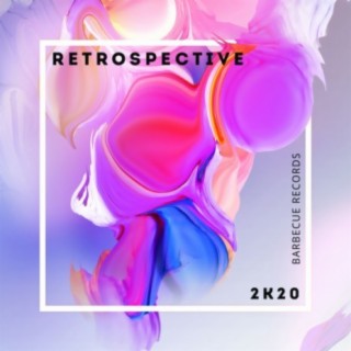 Retrospective 2k20