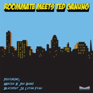Roommate Meets Ted Ganung