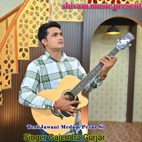 Teri Jawani Medam Pevar Si | Boomplay Music