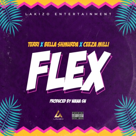 Flex ft. Ceeza Milli, Terri & Bella Shmurda | Boomplay Music