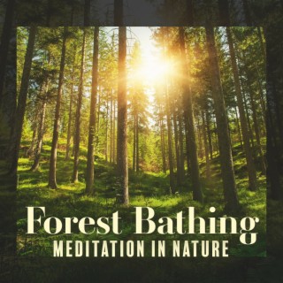 Forest Bathing: Meditation in Nature (Birds Chirping, Soothing River, Calm Rain and Relaxing Wind)