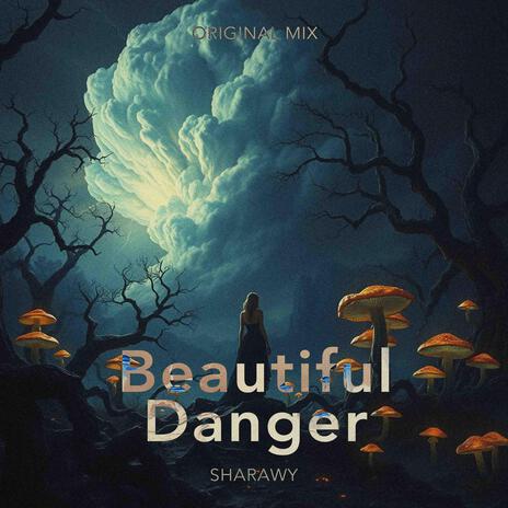 Beautiful Danger | Boomplay Music