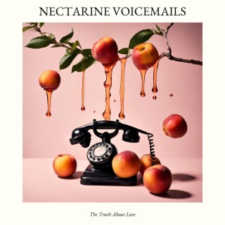 Nectarine Voicemails lyrics | Boomplay Music