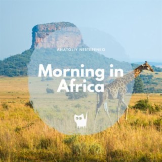 Morning In Africa