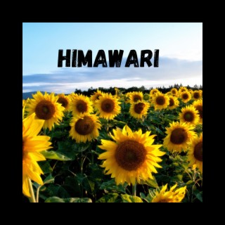 Himawari