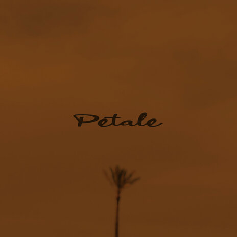 Petale | Boomplay Music