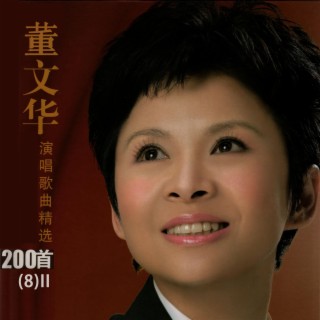 董文华演唱歌曲精选200首(8)II