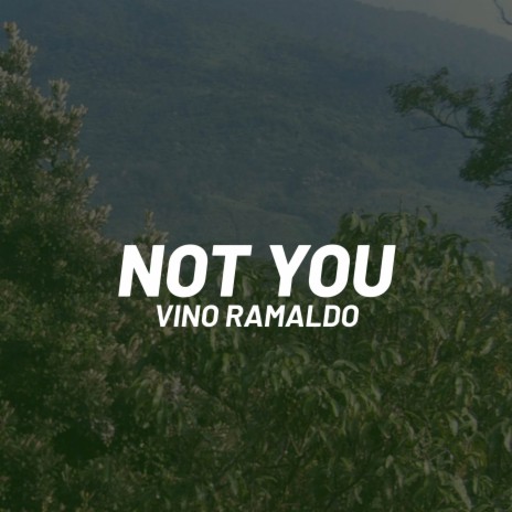 Not You | Boomplay Music