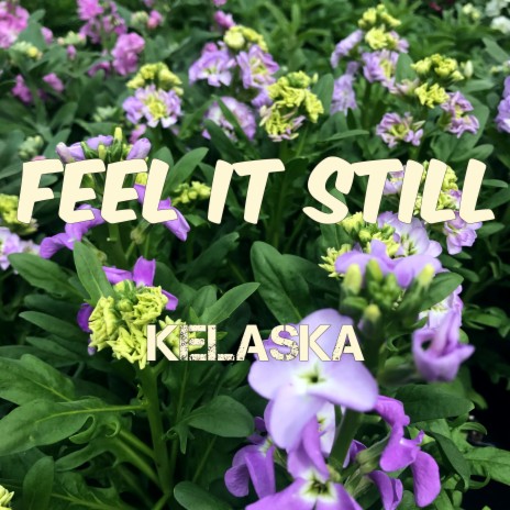 Feel It Still | Boomplay Music