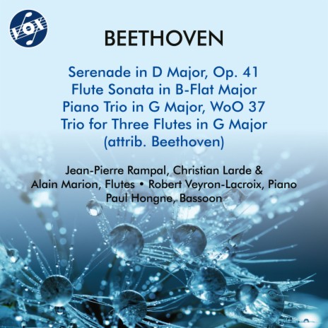 Trio for Flute, Bassoon & Piano in G Major, WoO 37: I. Allegro ft. Paul Hongne & Robert Veyron-Lacroix | Boomplay Music