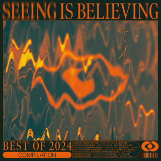 Seeing Is Believing: Best of 2024