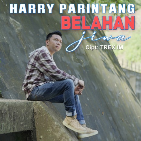 Belahan Jiwa | Boomplay Music