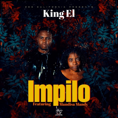 Impilo ft. Mandisa mandy | Boomplay Music