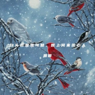 白头若是雪可替 lyrics | Boomplay Music