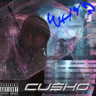 Why? : The MixTape